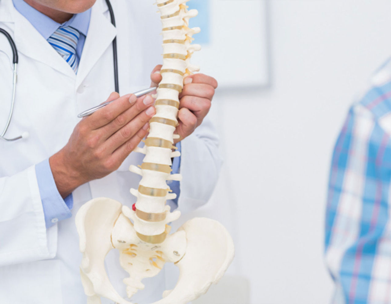 A medical professional in a white coat holds a detailed model of the human spine, explaining its structure.