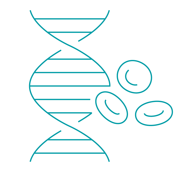 Line drawing of a DNA double helix and a cluster of cells.