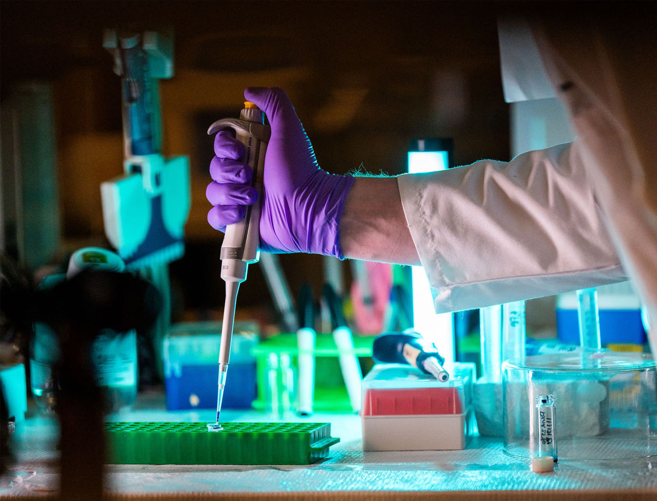 Scientist using pipette in laboratory setting
