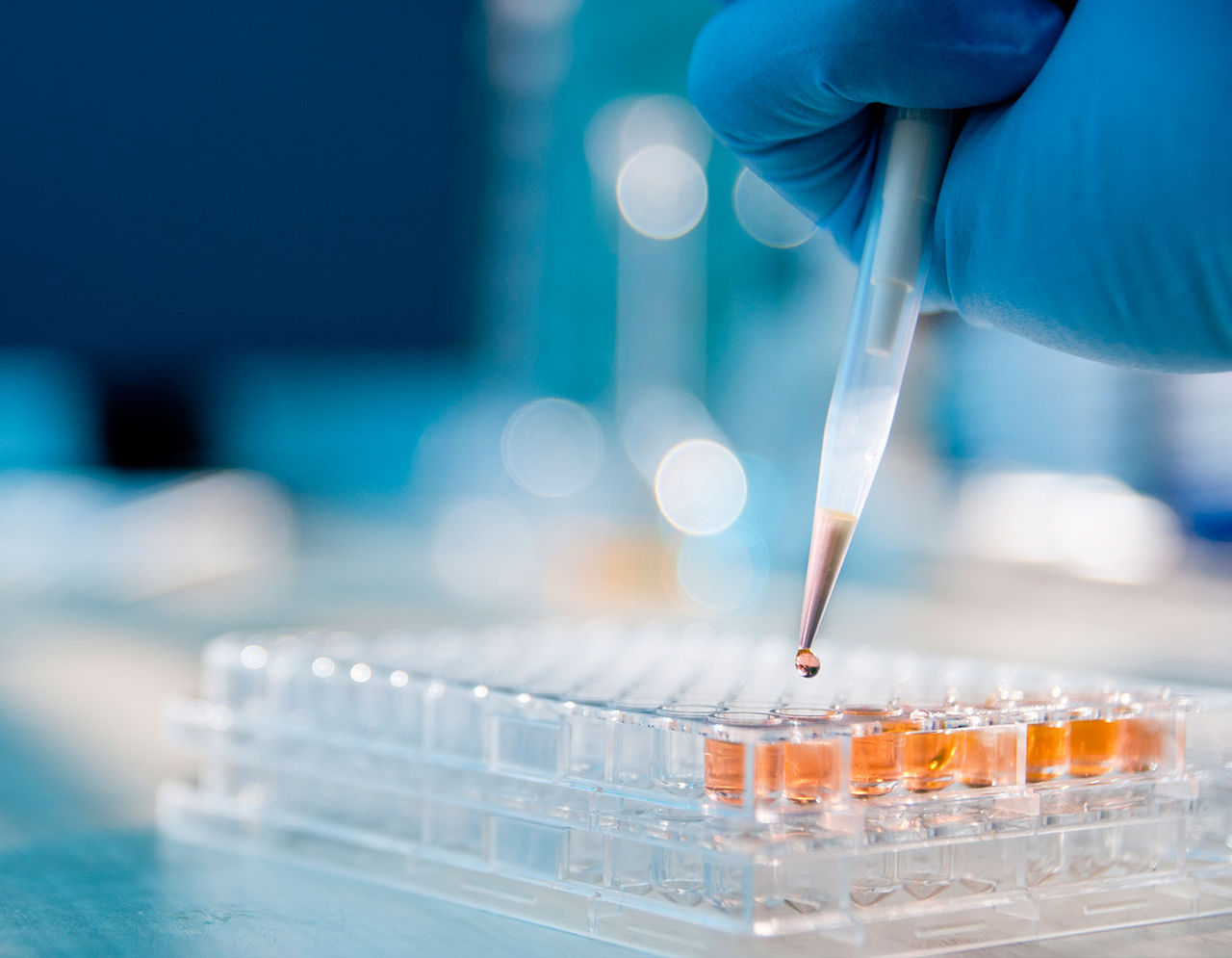 close up a lab member pipetting samples into a tray