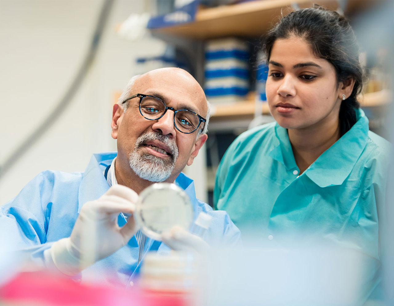 MGH Mucosal Research lab researchers look at petri dish