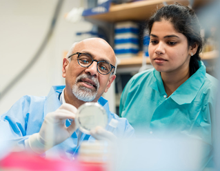 MGH Mucosal Research lab researchers look at petri dish
