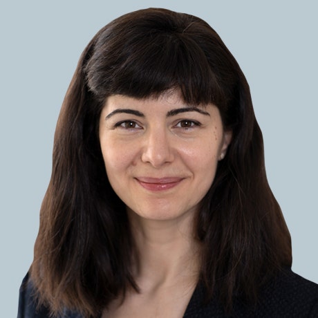 Ada Stefanescu, MD, MSC